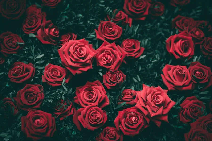 Rose Reverie bouquet of red and blush roses
