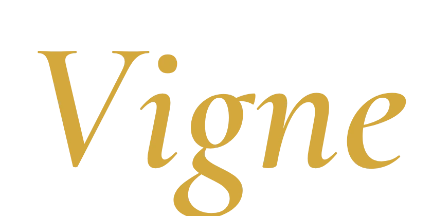 Vigne